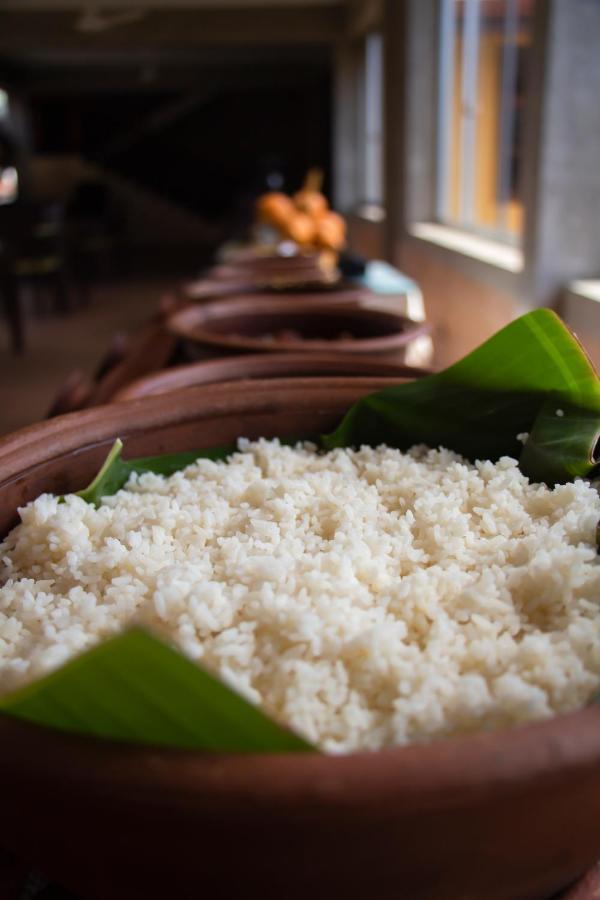 Jasmin Ayurveda 3* Negombo